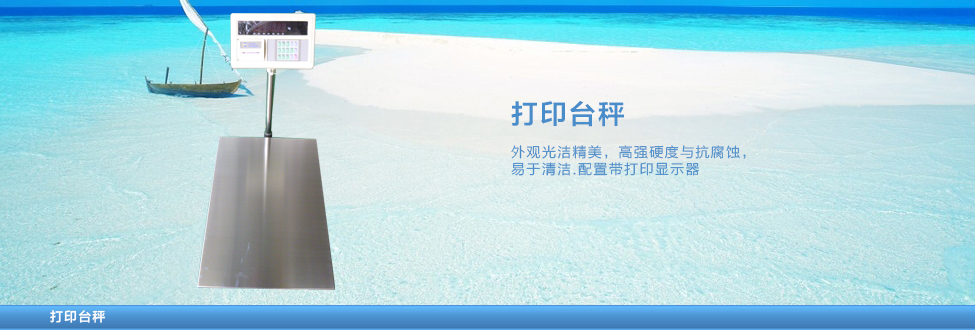 打印臺(tái)秤